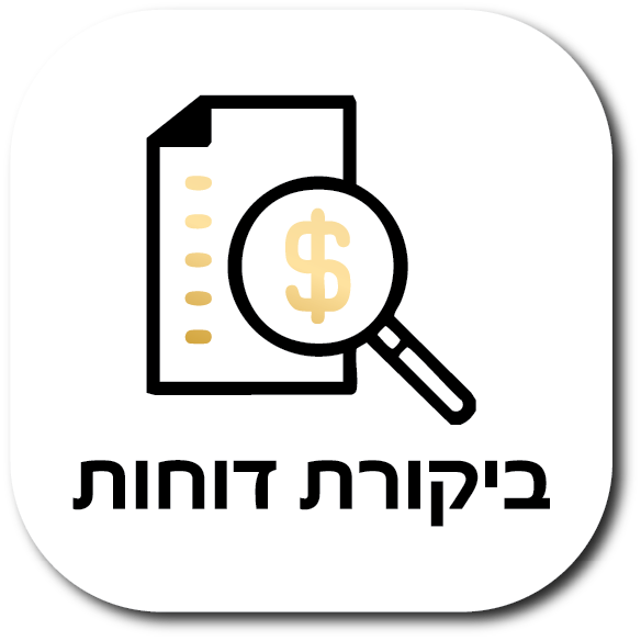 ביקורת דוחות